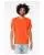 737710.webp