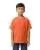 739281.webp