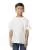 739311.webp