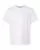 753404.webp
