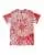 753863.webp