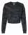 754040.webp