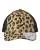 754205.webp