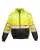 754289.webp