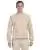 7548.webp