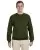 7565.webp