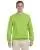 7567.webp