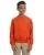 7582.webp
