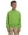 7595.webp