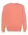 76729_f_fl.webp