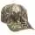 770800.webp