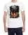 773308.webp
