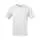 780550.webp