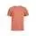 785296.webp