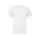 787855.webp