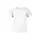 788032.webp