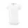 789133.webp