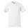 790130.webp