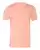 79564_f_fl.webp