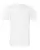 79566_f_fl.webp