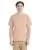 800173.webp
