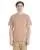 800179.webp