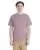 800185.webp