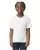 801214.webp