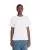 802707.webp