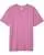 803007.webp