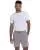 803426.webp
