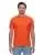 804560.webp