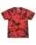 804795.webp