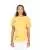 804945.webp