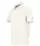 808923.webp
