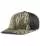809703.webp