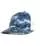 809707.webp