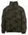 810953.webp