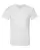 82443_f_fl.webp