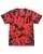 830051.webp