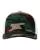 830996.webp