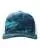 831002.webp