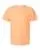 831449.webp