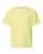 831456.webp