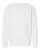 831691.webp