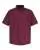 833805.webp