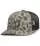 845125.webp