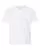 845748.webp