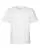 846819.webp