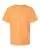 847870.webp